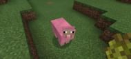 Pink sheep is one of the rarest variants of the mob in the game (Image via Reddit/u/Kledd)